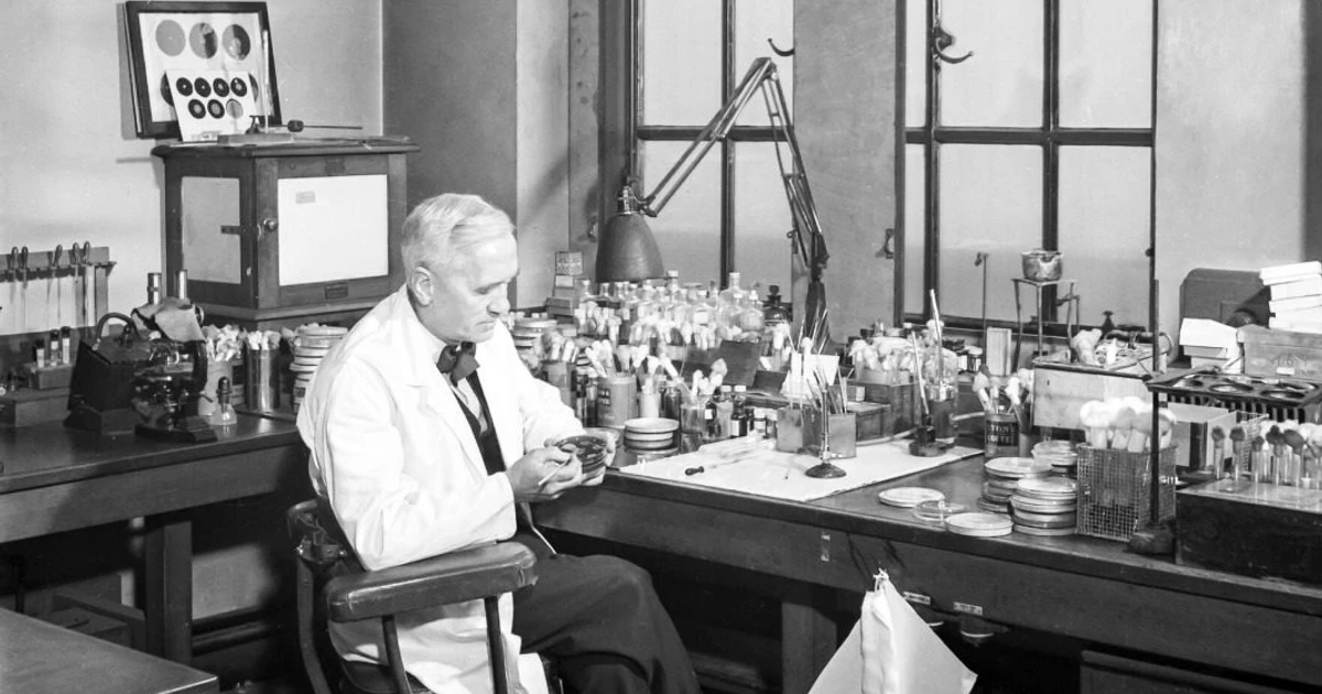 Penicillin And Alexander Fleming - How One Man’s Curiosity Changed The ...